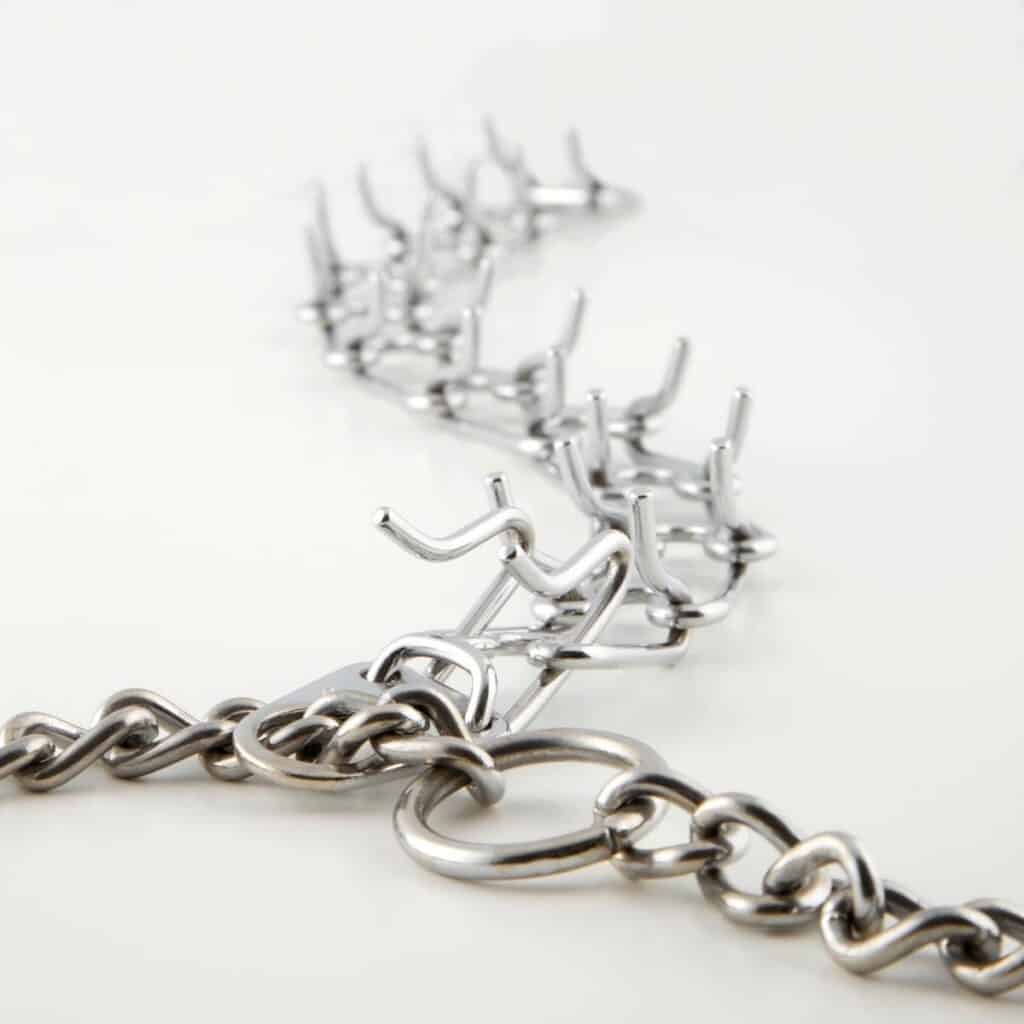 close up of a metal prong collar