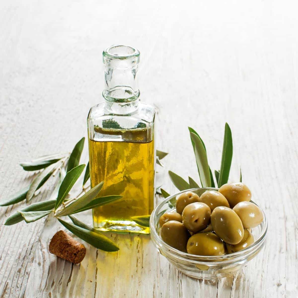 can olive oil cause pancreatitis in dogs