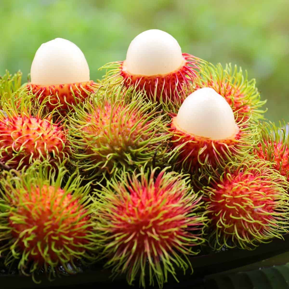 a stack of rambutan fruits with a couple cut open