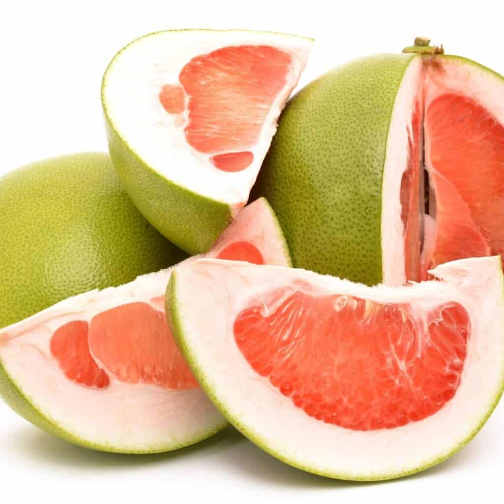 can dogs eat pomelo fruit